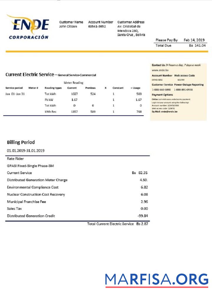 Downloadable Bolivia ENDE Corporacion electricity utility bill example